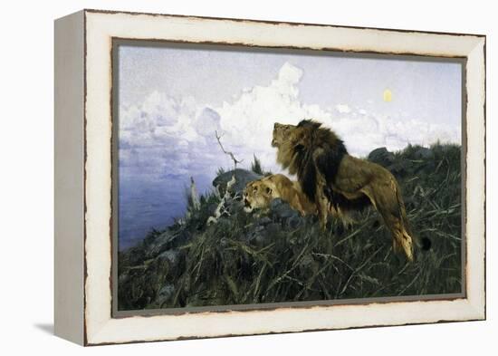 Lions at Dusk-Wilhelm Kuhnert-Framed Premier Image Canvas