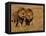 Lions, Duba Pride Males, Duba Plains, Okavango Delta, Botswana-Pete Oxford-Framed Premier Image Canvas