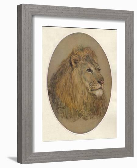 Lions Head, c1896-Frank Paton-Framed Giclee Print