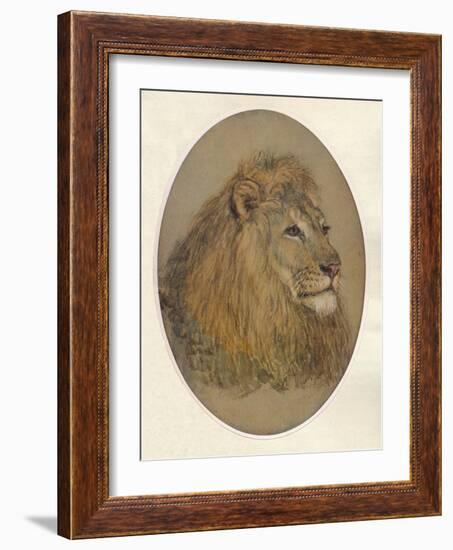 Lions Head, c1896-Frank Paton-Framed Giclee Print