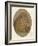 Lions Head, c1896-Frank Paton-Framed Giclee Print