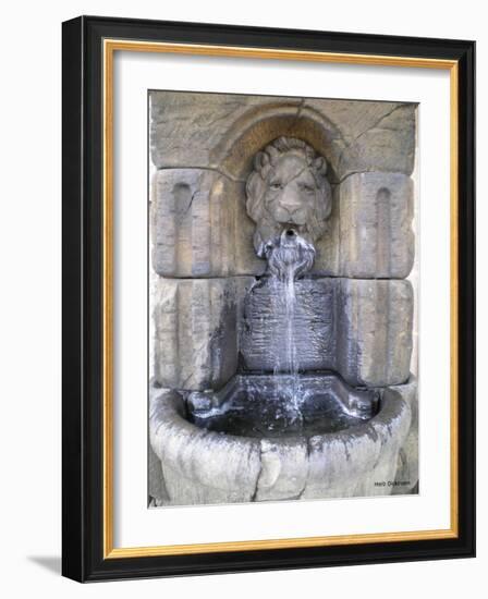 Lions Head Fountain-Herb Dickinson-Framed Photographic Print