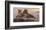 Lions of the Mara-Kalon Baughan-Framed Art Print