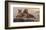 Lions of the Mara-Kalon Baughan-Framed Art Print