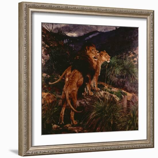 Lions Stalking-Geza Vastagh-Framed Giclee Print