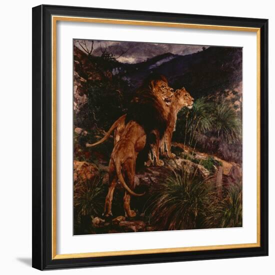 Lions Stalking-Geza Vastagh-Framed Giclee Print