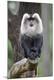 Premium Photographic Print