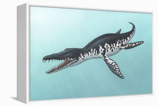 Liopleurodon Marine Reptile, Artwork-Richard Bizley-Framed Premier Image Canvas