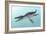 Liopleurodon Marine Reptile, Artwork-Richard Bizley-Framed Photographic Print