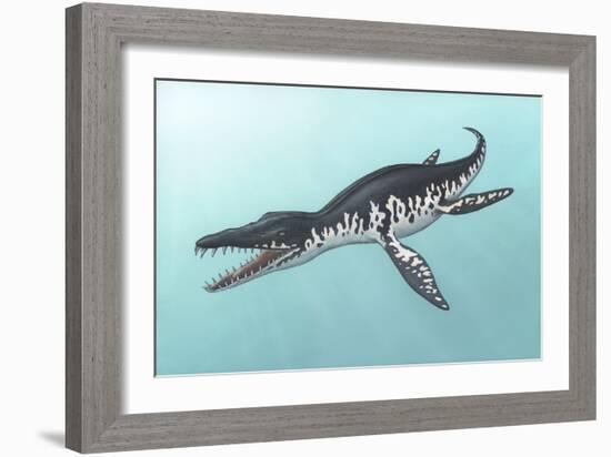 Liopleurodon Marine Reptile, Artwork-Richard Bizley-Framed Photographic Print