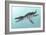 Liopleurodon Marine Reptile, Artwork-Richard Bizley-Framed Photographic Print