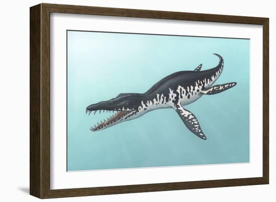 Liopleurodon Marine Reptile, Artwork-Richard Bizley-Framed Photographic Print