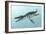 Liopleurodon Marine Reptile, Artwork-Richard Bizley-Framed Photographic Print