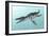 Liopleurodon Marine Reptile, Artwork-Richard Bizley-Framed Photographic Print