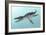 Liopleurodon Marine Reptile, Artwork-Richard Bizley-Framed Photographic Print
