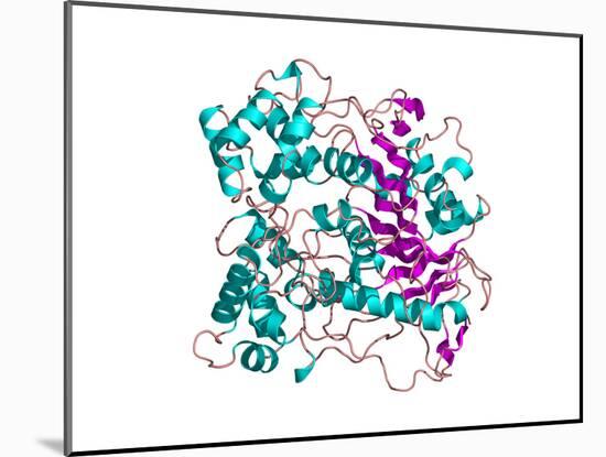 Lipase Molecule-Laguna Design-Mounted Photographic Print