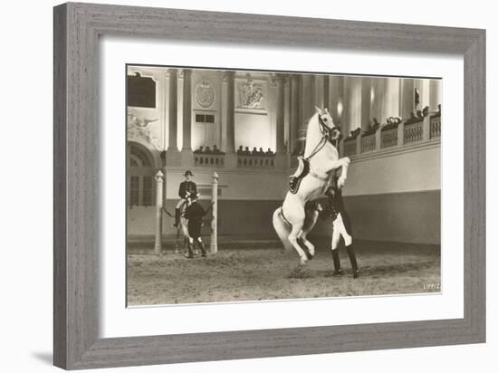 Lipizzaner, Vienna, Austria-null-Framed Art Print