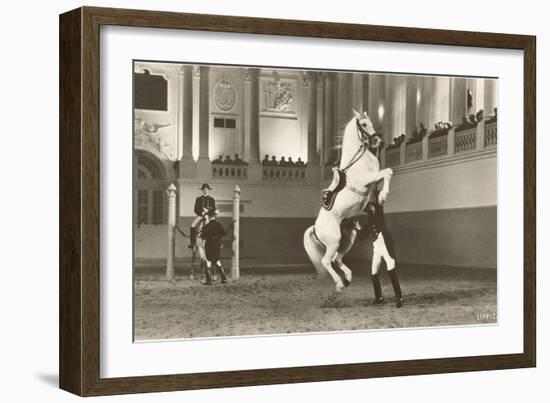 Lipizzaner, Vienna, Austria-null-Framed Art Print