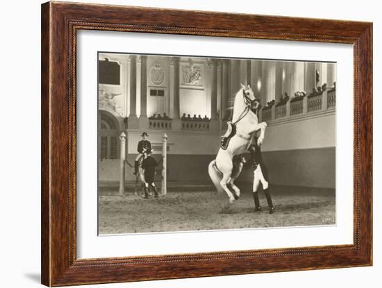 Lipizzaner, Vienna, Austria-null-Framed Art Print