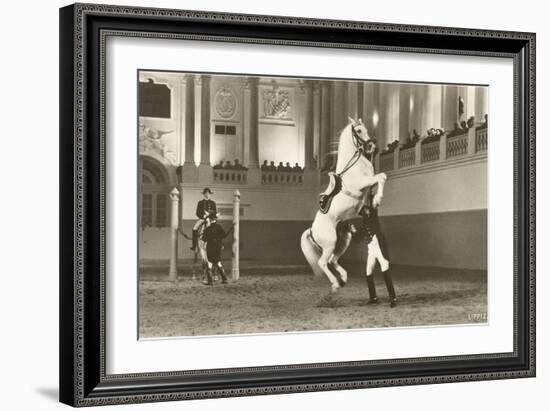 Lipizzaner, Vienna, Austria-null-Framed Art Print