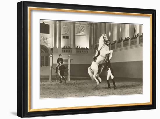 Lipizzaner, Vienna, Austria-null-Framed Art Print