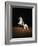 Lipizzaners in figures of the High School: Pluto Palmira performing a courbette.-Erich Lessing-Framed Giclee Print