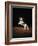 Lipizzaners in figures of the High School: Pluto Palmira performing a courbette.-Erich Lessing-Framed Giclee Print