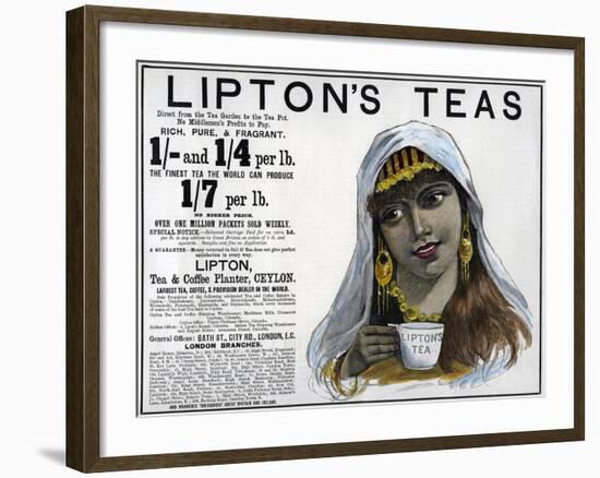 Lipton's Teas Advertisement, 1893-null-Framed Giclee Print