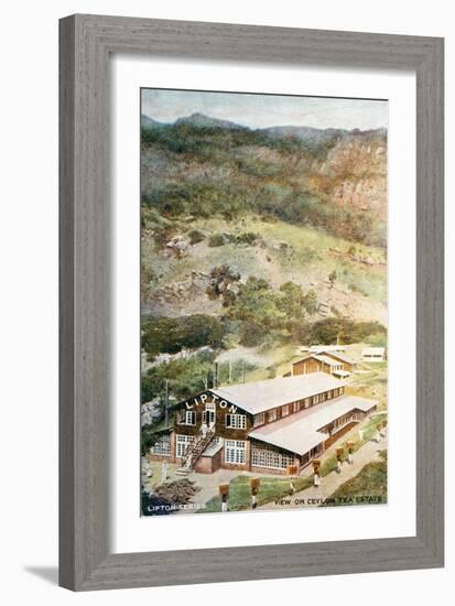 Lipton Tea Drying Building on Plantation in Sri Lanka-null-Framed Giclee Print