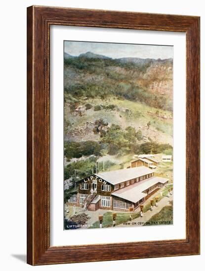 Lipton Tea Drying Building on Plantation in Sri Lanka-null-Framed Giclee Print