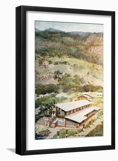 Lipton Tea Drying Building on Plantation in Sri Lanka-null-Framed Giclee Print