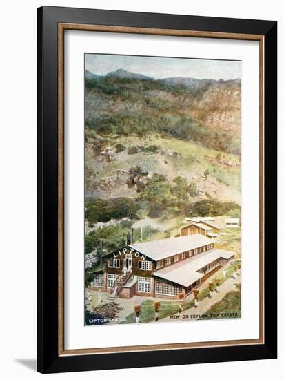 Lipton Tea Drying Building on Plantation in Sri Lanka-null-Framed Giclee Print