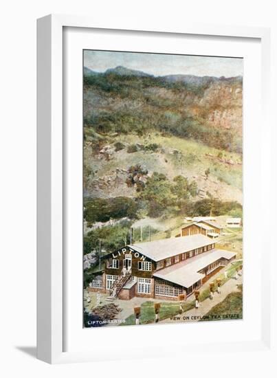 Lipton Tea Drying Building on Plantation in Sri Lanka-null-Framed Giclee Print