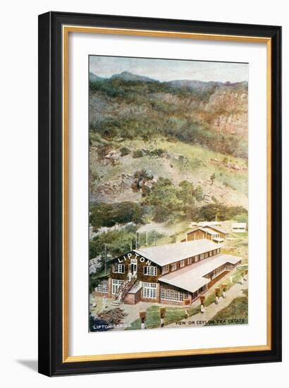 Lipton Tea Drying Building on Plantation in Sri Lanka-null-Framed Giclee Print