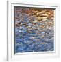 Liquid Gold Square 2-Joy Doherty-Framed Giclee Print