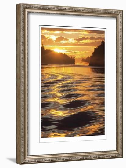 Liquid Gold-Donald Paulson-Framed Giclee Print