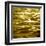 Liquid Gold-Charlie Carter-Framed Art Print