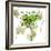 Liquid Green Flower-Jan Weiss-Framed Art Print