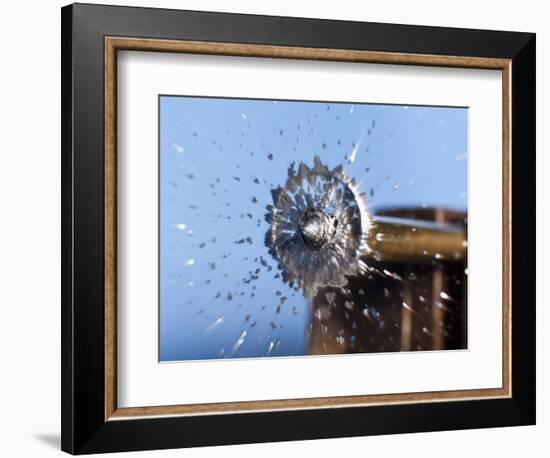 Liquid Lead-Alan Sailer-Framed Photographic Print