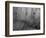 Liquid Metal I-Doug Chinnery-Framed Photographic Print