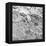 Liquid Metal II-Doug Chinnery-Framed Premier Image Canvas