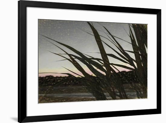 Liquid Pencil Drawing Giant Reeds After Sunset-Anthony Paladino-Framed Giclee Print