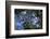 Liquid-K.B. White-Framed Photographic Print