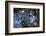 Liquid-K.B. White-Framed Photographic Print