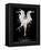 Liquidize-Pauline Pentony-Framed Premier Image Canvas