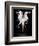 Liquidize-Pauline Pentony-Framed Photographic Print