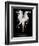 Liquidize-Pauline Pentony-Framed Photographic Print