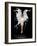 Liquidize-Pauline Pentony-Framed Photographic Print