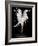 Liquidize-Pauline Pentony-Framed Photographic Print