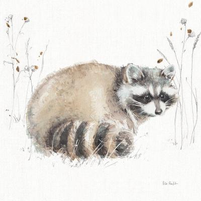Raccoon Paintings & Art Prints | Art.com